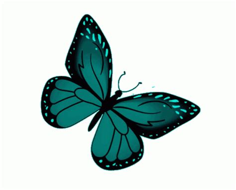 Butterfly Teal Sticker – Butterfly Teal Monarch – discover and share GIFs