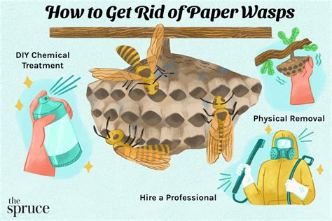 How to Get Rid of Paper Wasps