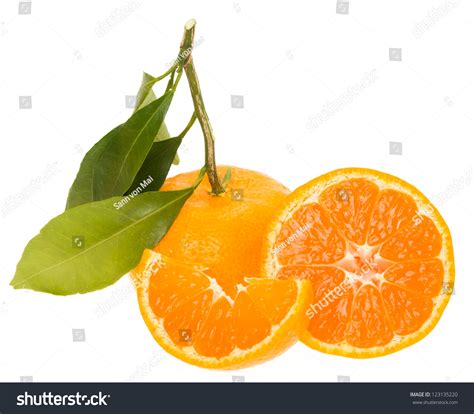 Seedless Satsuma Mandarin Citrus Unshiu Stock Photo 123135220 - Shutterstock