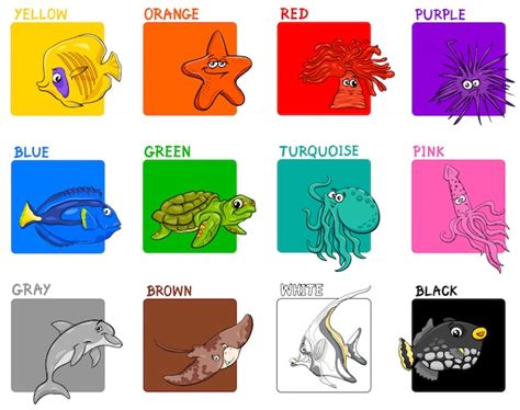 Premium Vector | Basic colors with animals educational set for kids