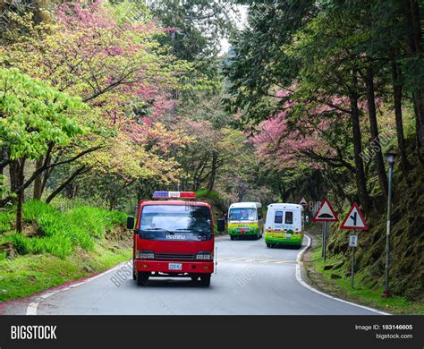 Cherry Blossom Alishan Image & Photo (Free Trial) | Bigstock