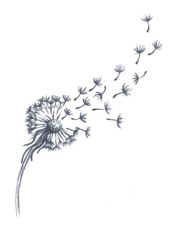 Dandelion Tattoo – Tattooed Now