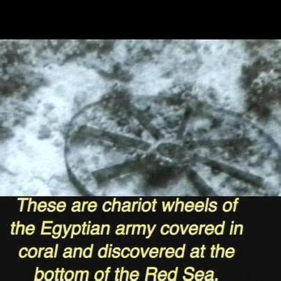 Egyptian chariot wheel at bottom of the Red Sea | Bible history, Red sea, Bible evidence