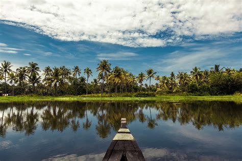 KERALA I: EXCURSIÓN EN CANOA POR LOS BACKWATERS DE KOCHI – martafandres.com