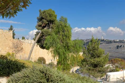 Old city wall of Jerusalem stock photo. Image of cathedral - 264453428