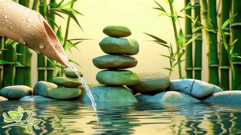 Relaxing Zen Music 24/7 - Water Sounds, Bamboo, Zen, Yoga, Spa, Meditation Music, Nature Sounds ...