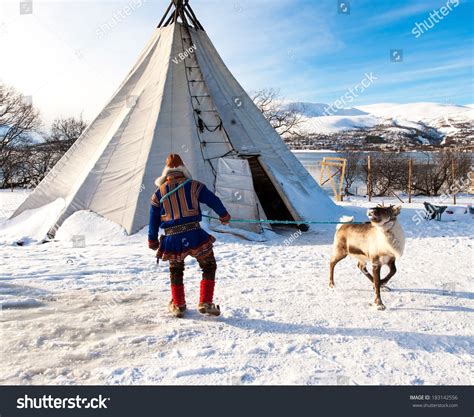 Traditional Sami Reindeer-Skin Tents (Lappish Yurts) In Tromso .Reindeer Breeder Stock Photo ...