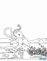 Homosapien homo erectus Habilis coloring Pages sketch template