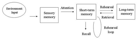 Memory Models in Psychology - understanding human memory - Cognition Today