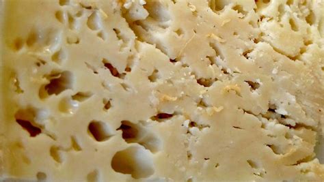 Casu Marzu, Sardinian Maggot Cheese Season in Italy 2019 – Rove.me