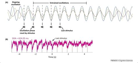 Entrainment of neural oscillations as a modifiable substrate of attention: Trends in Cognitive ...