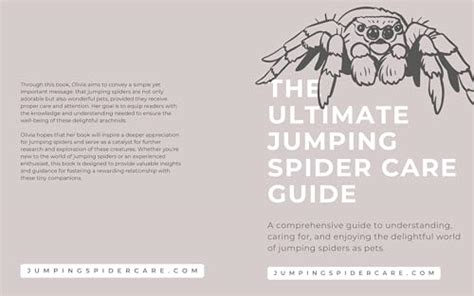 The Ultimate Jumping Spider Care Guide, Habitats, Behaviour, Anatomy ...