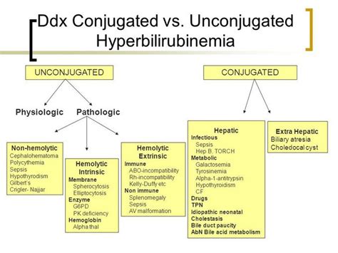 Conjugated vs. Unconjugated Hyperbilirubinemia - MEDizzy