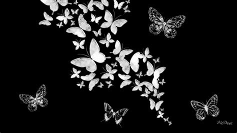 Black Butterfly Wallpapers - Top Free Black Butterfly Backgrounds ...