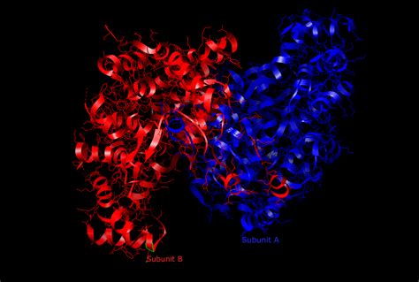 Citrate synthase