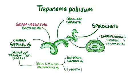 Fastidious - Definition and Examples - Biology Online Dictionary