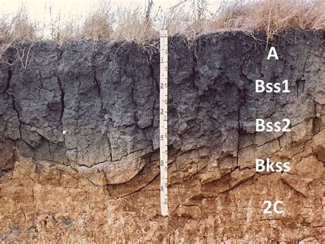 Vertisols | Soil & Water Systems | University of Idaho