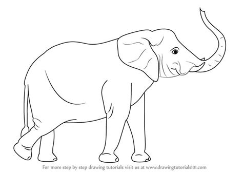 Learn How to Draw an Elephant with its Trunk Up (Zoo Animals) Step by Step : Drawing Tutorials ...