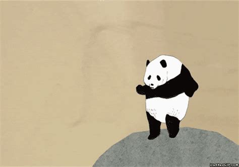 Dance Panda GIFs - Find & Share on GIPHY