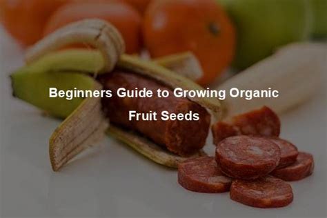 Beginners Guide to Growing Organic Fruit Seeds - Organic Seed Finder