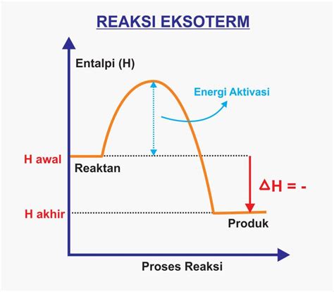 Contoh Reaksi Eksoterm: Panduan Lengkap dan Terperinci