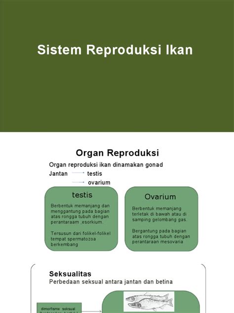 Sistem Reproduksi Ikan | PDF