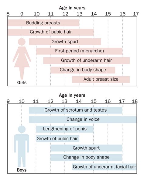 Puberty Girls Stages Chart