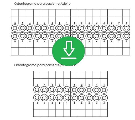 Descargas – hr-dental.com | Odontología, Dental, Muelas del juicio