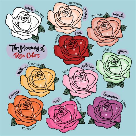 22 Rose Color Meanings: What Does Each Shade Symbolize? - Color Meanings, rose - bangkokems ...