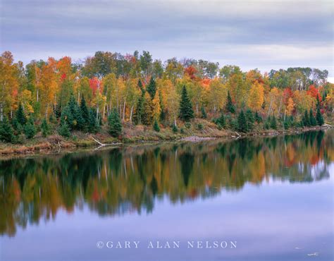 Autumn in the Chippewa Forest | MN-05-31-NF | Gary Alan Nelson Photography