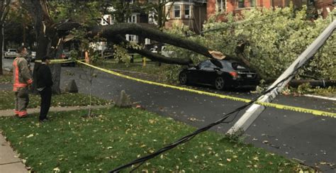 Toronto Hydro warns of possible power outages ahead of storm | News