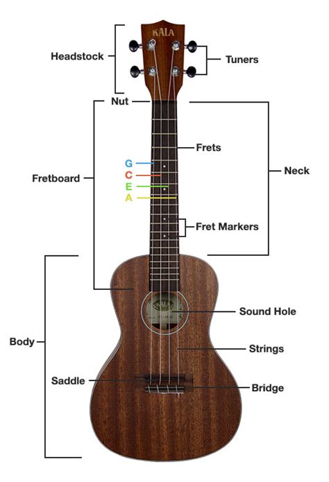 The Ukulele - Get-Tuned.com