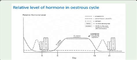 Level of different hormone in estrous cycle [20]. | Download Scientific Diagram