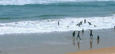 Explore the Serene Beaches of Chandipur-on-Sea