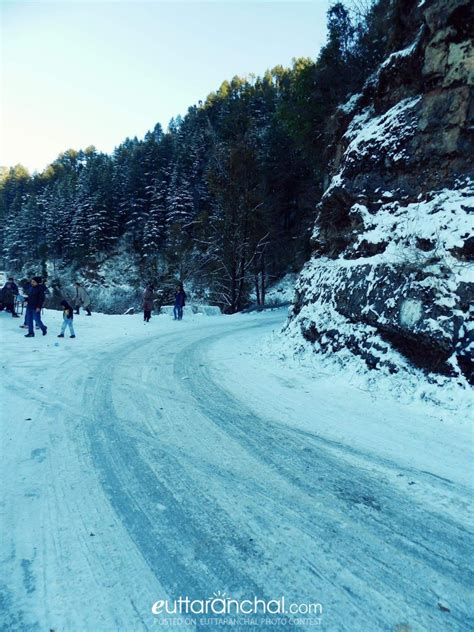 First Snowfall of 2015 in Dhanaulti - Uttarakhand Photos