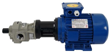 ROTOFLUID 100 Meter Rotary Gear oil pump with motor, Max Flow Rate: 350 ...