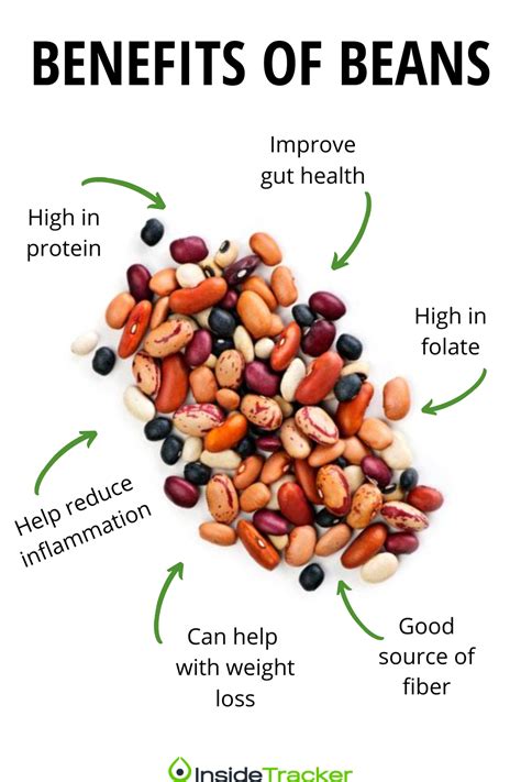 Top Health Benefits of Beans | Health benefits of beans, Cinnamon ...