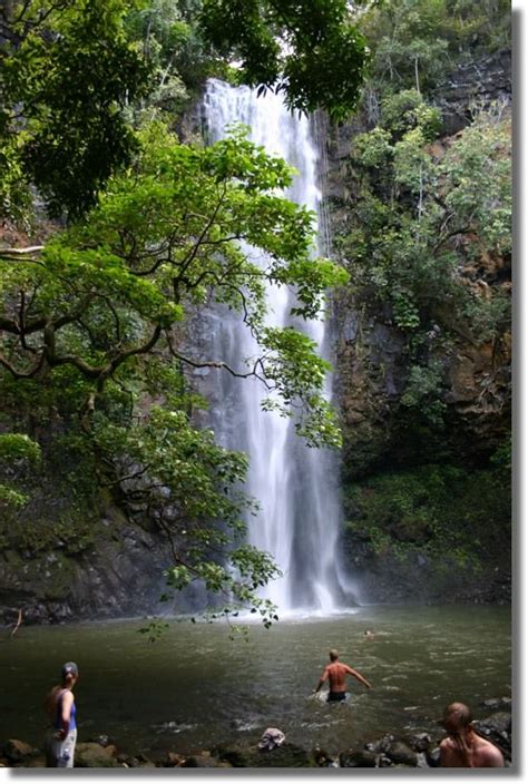 Wailua River Secret Falls, worth the hike! | Kauai vacation, Kauai activities, Hawaii vacation