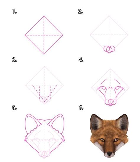 How to draw a fox head - Front | Fox drawing tutorial, Fox drawing ...