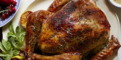 Roast Turkey Recipe for Thanksgiving – DIYVila