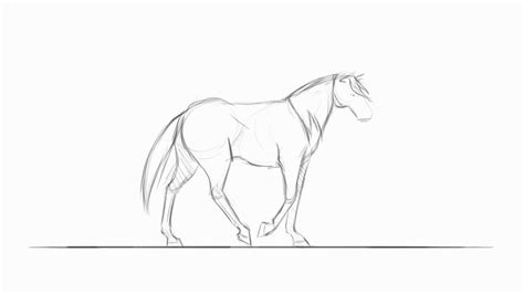 Amy Cooper - Centaur/Horse Animation