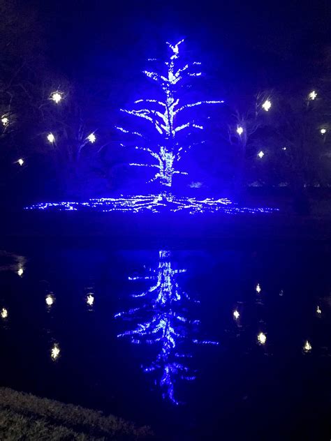 Visit to Longwood Gardens Holiday Lights: A Longwood Christmas!