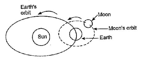 Draw a diagram showing the orbit of Earth and the orbit of Earth's Moo