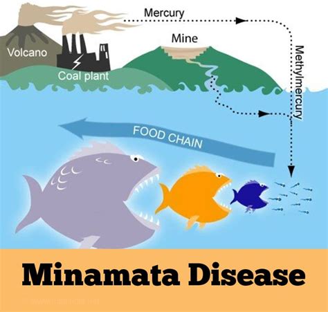 Minamata Disease - Causes, Symptoms, Signs, Diagnosis, Treatment