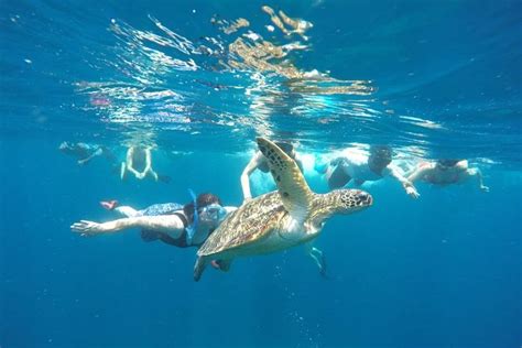 Private Full-Day Snorkeling Tour from Bali to the Gili Islands 2024 - Kuta