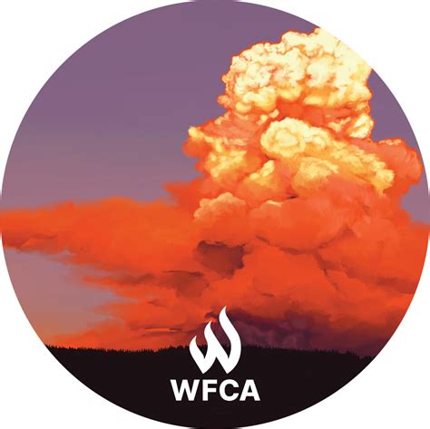 10 Largest Wildfires in U.S. History | WFCA