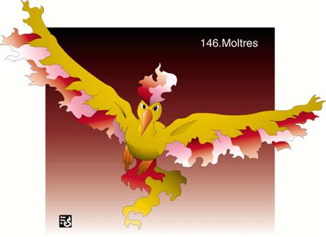 Pokemon - Moltres - Moltres Photo (36644773) - Fanpop