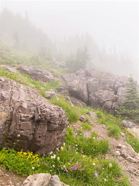 Mount Ellinor Trail - Olivia Michelle