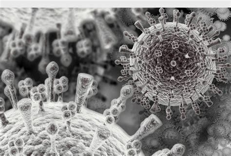 Avian flu virus, shown in this scanning electron microscope image from 3DScience.com, is one of ...