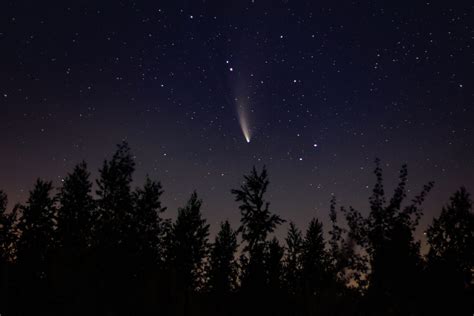 Skygazers anticipate sparkly Ursid meteor shower to peak Friday